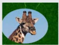 ADOBE PREMIERE 6 - Cache de piste - 2