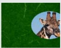 ADOBE PREMIERE 6 - Cache de piste - 4