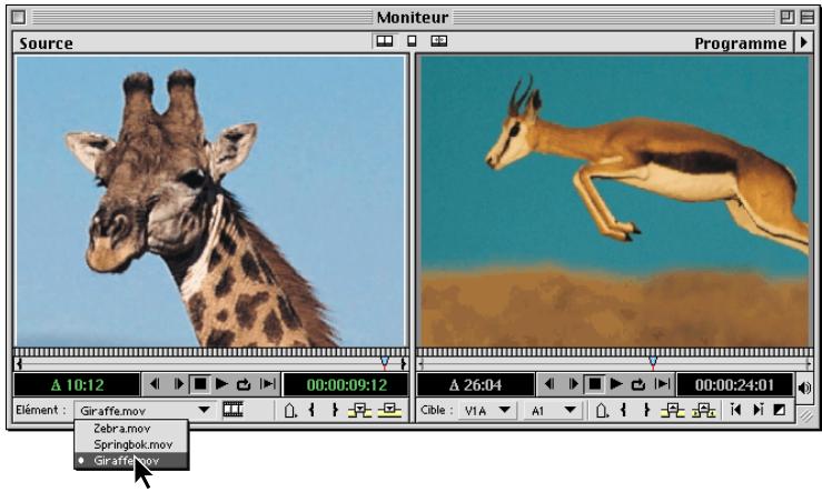 ADOBE PREMIERE 6 - Pour afficher un élément : - 1