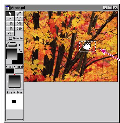 ADOBE PREMIERE 6 - Pour importer une image échantillon dans la fenêtre Titre : - 1