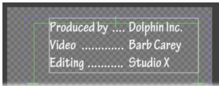 ADOBE PREMIERE PRO 7 - Saisissez le texte. - 1