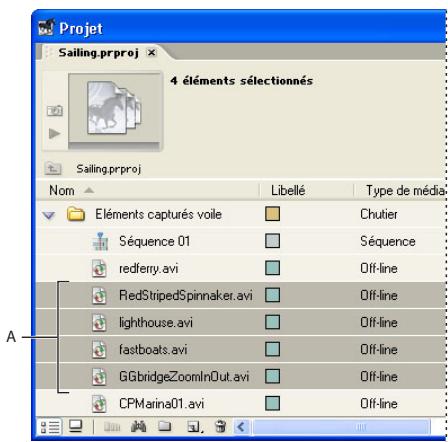 ADOBE PREMIERE PRO 7 - Acquisition video en série - 1