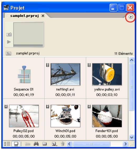 ADOBE PREMIERE PRO 7 - Configure la fenêtre Projet. - 1