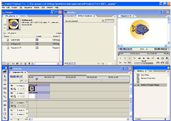 ADOBE PREMIERE PRO 7 - Optimise la zone de travail pour l'utilisation des effets. - 1