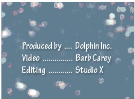ADOBE PREMIERE PRO 7 - Prévisualisez le déroulement. - 1