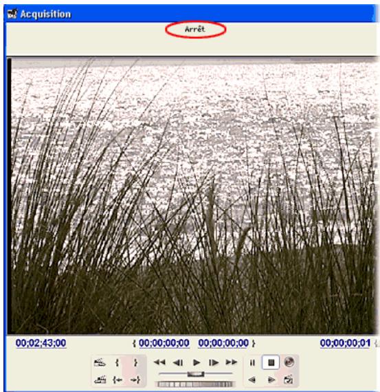 ADOBE PREMIERE PRO 7 - Ouvrez la fenêtre Acquisition, puis vérifie que l'appareil est reconnu. - 1