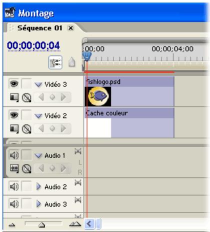 ADOBE PREMIERE PRO 7 - 1.Importez des fichiers Photoshop. - 1