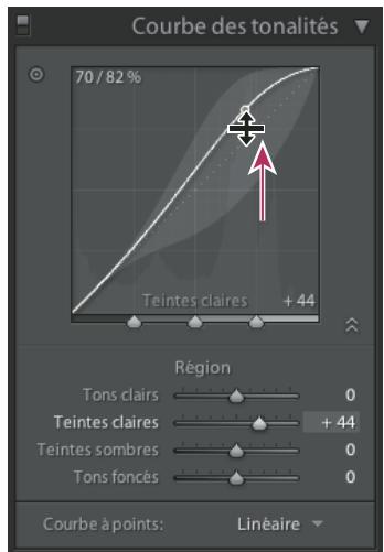 ADOBE PHOTOSHOP LIGHTROOM - Présentation de la courbe des tonalités - 1