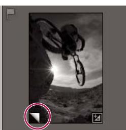 ADOBE PHOTOSHOP LIGHTROOM - Création de copies virtuelles - 2