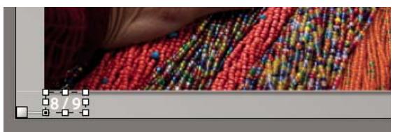 ADOBE PHOTOSHOP LIGHTROOM - Mise à l'échelle du texte et d'autres objets dans une diapositive - 2