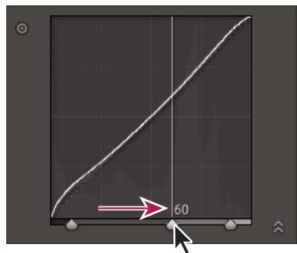 ADOBE PHOTOSHOP LIGHTROOM - Modification des sections de la courbe affectées par les curseurs de zone - 1