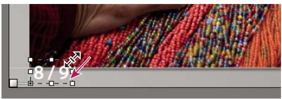 ADOBE PHOTOSHOP LIGHTROOM - Mise à l'échelle du texte et d'autres objets dans une diapositive - 1