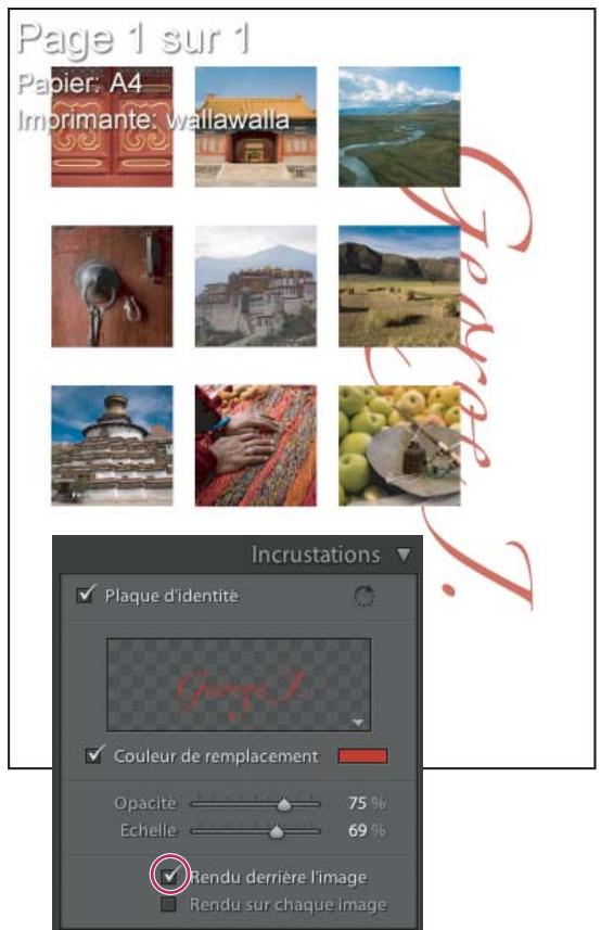 ADOBE PHOTOSHOP LIGHTROOM - Impression de votre plaque d'identité - 1