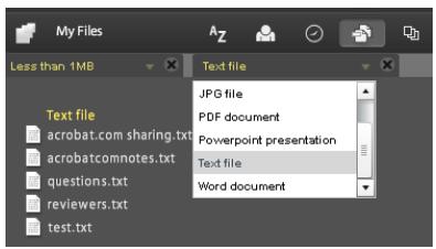 ADOBE ACROBAT COM - Sort and filter files - 3