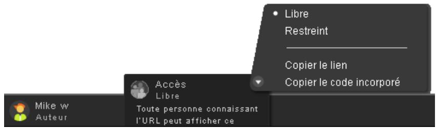 ADOBE ACROBAT COM - Niveau d'accès pour les fichiers partagés - 1