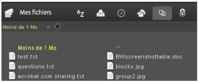 ADOBE ACROBAT COM - Tri et filtrage des fichiers - 2
