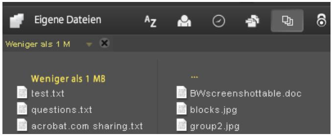 ADOBE ACROBAT COM - Sortieren und filters von Dateien - 2