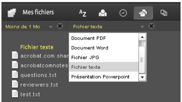 ADOBE ACROBAT COM - Tri et filtrage des fichiers - 3