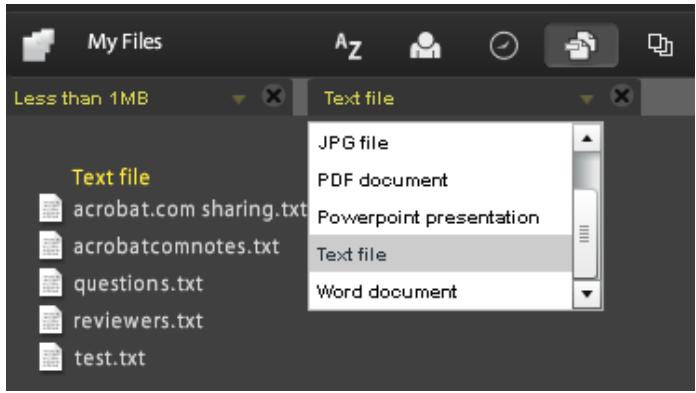 ADOBE ACROBAT.COM - Manage your files - 3