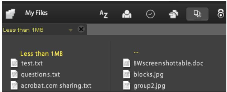 ADOBE ACROBAT.COM - Manage your files - 2