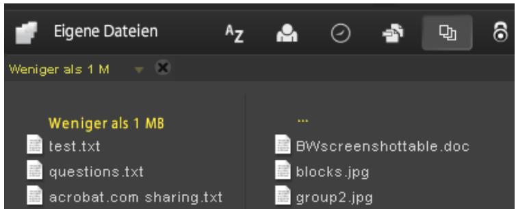 ADOBE ACROBAT.COM - Verwalten von Dateien - 2