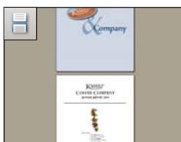 ADOBE ACROBAT 8 PROFESSIONAL - Configuration de la mise en page et de l'orientation des pages - 2