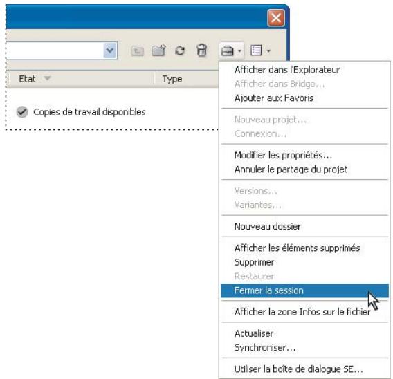 ADOBE ACROBAT 8 PROFESSIONAL - Création et modification de projets - 1