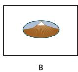 ADOBE ACROBAT 8 PROFESSIONAL - Modification de l'aspect des boutons - 2