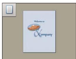 ADOBE ACROBAT 8 PROFESSIONAL - Configuration de la mise en page et de l'orientation des pages - 1