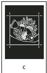 ADOBE ACROBAT 8 PROFESSIONAL - A propos de l'émulsion et de l'exposition de l'image - 3