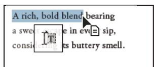 ADOBE ACROBAT 8 PROFESSIONAL - Copie du texte sélectionné - 1