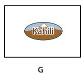 ADOBE ACROBAT 8 PROFESSIONAL - Modification de l'aspect des boutons - 7