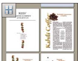 ADOBE ACROBAT 8 PROFESSIONAL - Configuration de la mise en page et de l'orientation des pages - 4