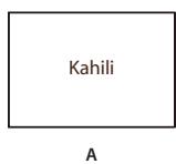 ADOBE ACROBAT 8 PROFESSIONAL - Modification de l'aspect des boutons - 1