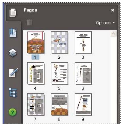 ADOBE ACROBAT 8 PROFESSIONAL - Redimensionnement d'une vignette - 2