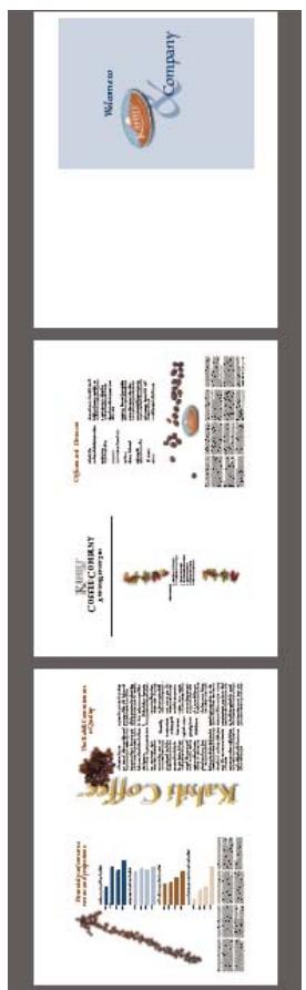 ADOBE ACROBAT 8 PROFESSIONAL - Impression en livret - 2