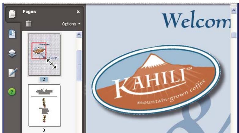 ADOBE ACROBAT 8 PROFESSIONAL - Changement du facteur de zoom à l'aide d'une vignette - 1