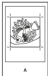 ADOBE ACROBAT 8 PROFESSIONAL - A propos de l'émulsion et de l'exposition de l'image - 1