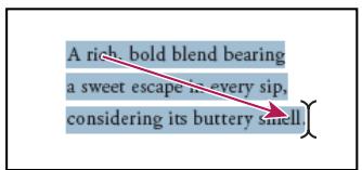 ADOBE ACROBAT 8 PROFESSIONAL - Sélection et copie de texte - 2