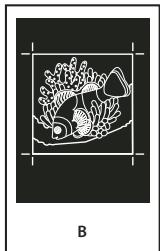 ADOBE ACROBAT 8 PROFESSIONAL - A propos de l'émulsion et de l'exposition de l'image - 2