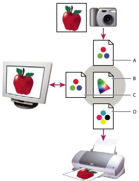 ADOBE ACROBAT 8 PROFESSIONAL - A propos des profils colorimétriques - 1