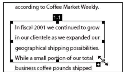 ADOBE ACROBAT 8 PROFESSIONAL - Déplacement ou redimensionnement d'une division d'article - 1