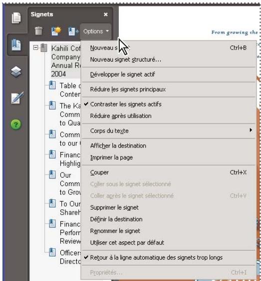 ADOBE ACROBAT 8 PROFESSIONAL - Options disponibles dans un panneau de navigation - 1