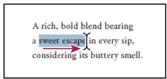 ADOBE ACROBAT 8 PROFESSIONAL - Sélection et copie de texte - 1