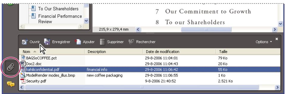 ADOBE ACROBAT 8 PROFESSIONAL - Ajout d'une piece jointe - 1