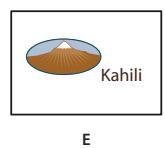 ADOBE ACROBAT 8 PROFESSIONAL - Modification de l'aspect des boutons - 5