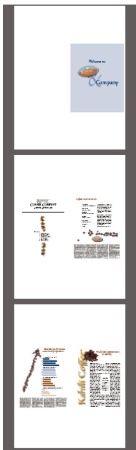 ADOBE ACROBAT 8 PROFESSIONAL - Impression en livret - 3