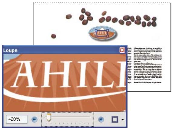 ADOBE ACROBAT 8 PROFESSIONAL - Changement de facteur de zoom à l'aide de l'outil Loupe - 1