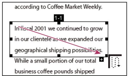 ADOBE ACROBAT 8 PROFESSIONAL - Insertion d'une division d'article dans une division existante - 1