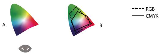 ADOBE ACROBAT 8 PROFESSIONAL - Pourquoi les couleurs ne concordent pas toujours - 1